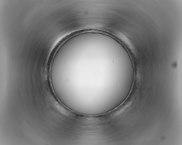 X0000090410924200707272046