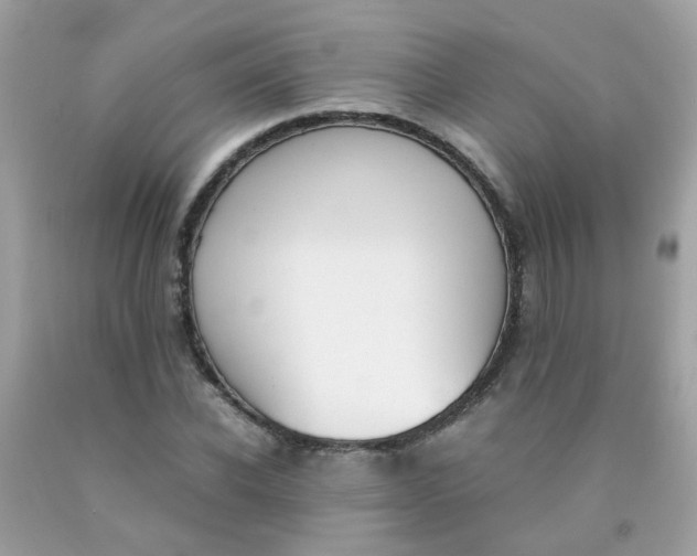 X0000090410926200707272046