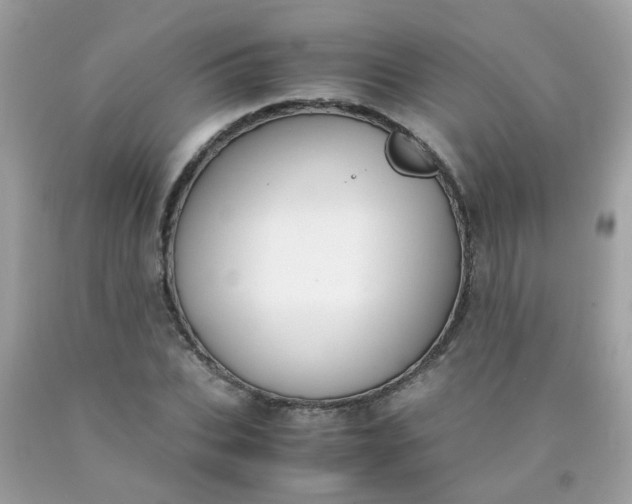 X0000090410927200707272046