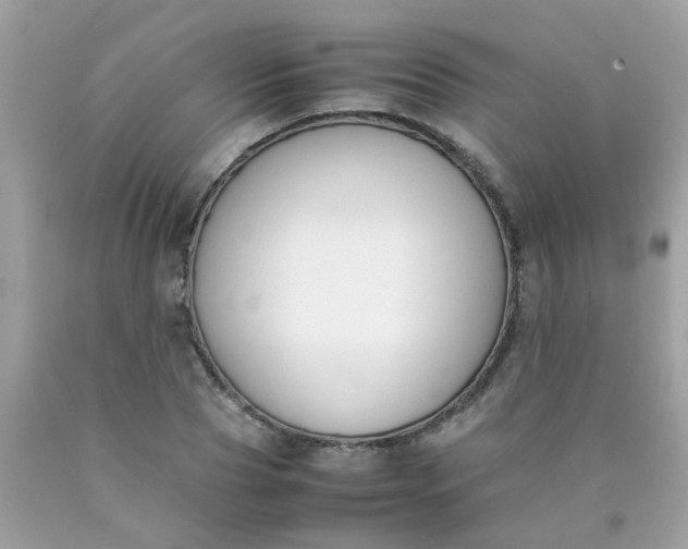 X0000090410929200707272046