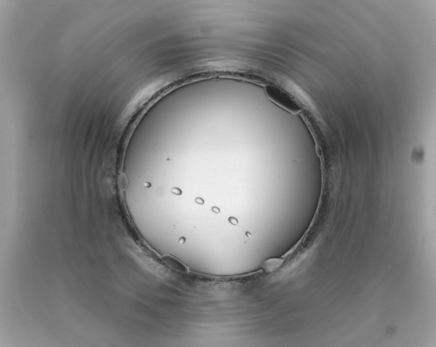 X0000090410930200707272046