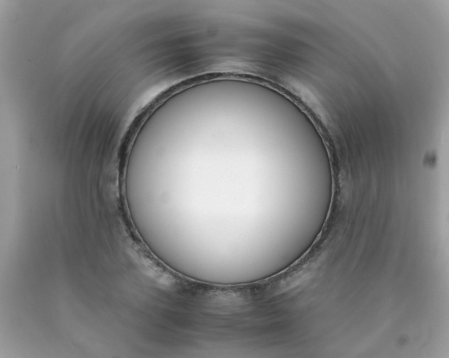 X0000090410931200707272046