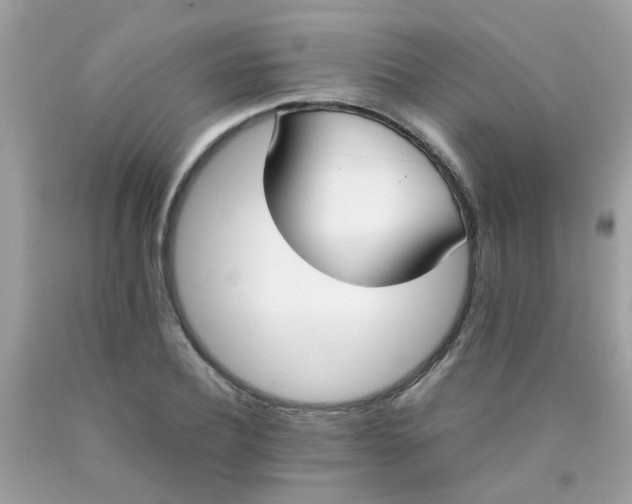 X0000090410932200707272046