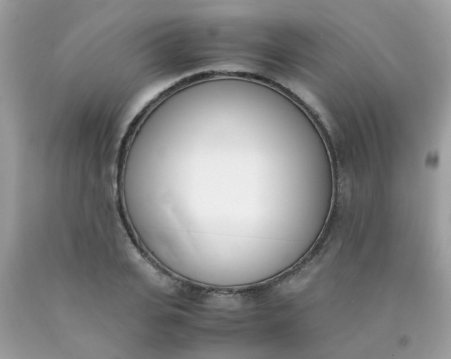 X0000090410935200707272046