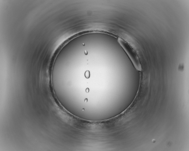 X0000090410936200707272046