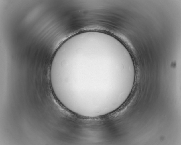 X0000090410937200707272046