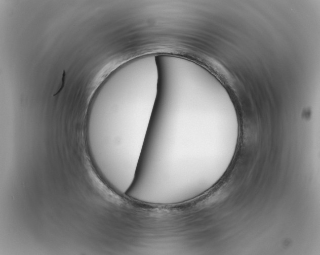 X0000090410938200707272046