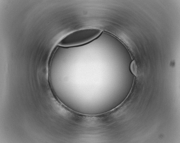 X0000090410940200707272046