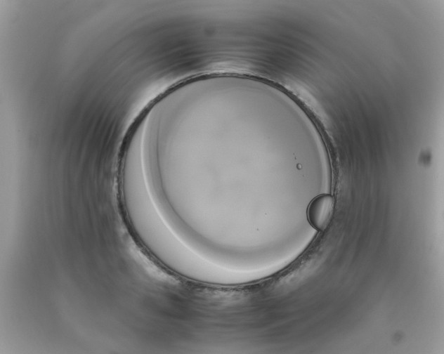 X0000090410941200707272046