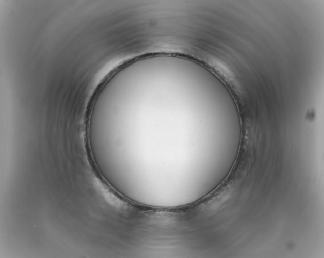 X0000090410942200707272046