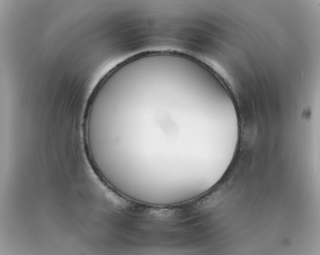 X0000090410943200707272046