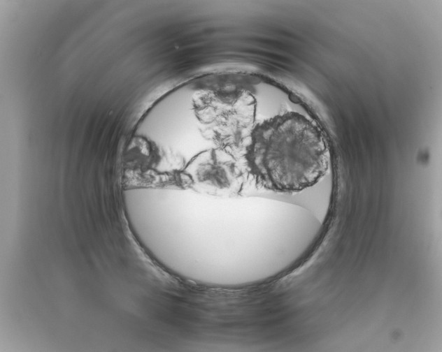 X0000090410945200707272046