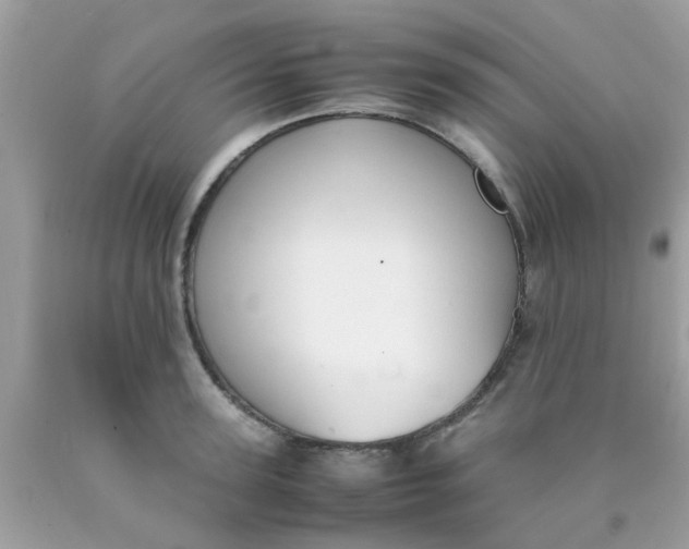 X0000090410947200707272046