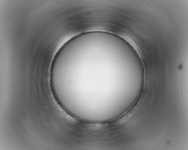 X0000090410949200707272046