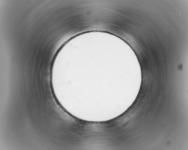 X0000090410950200707272046