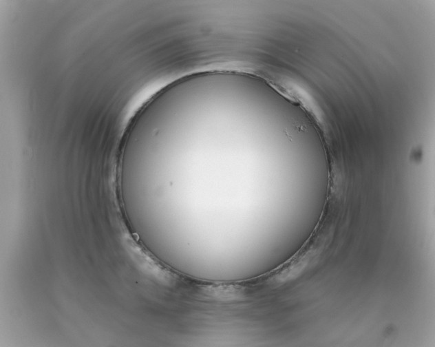 X0000090410952200707272046
