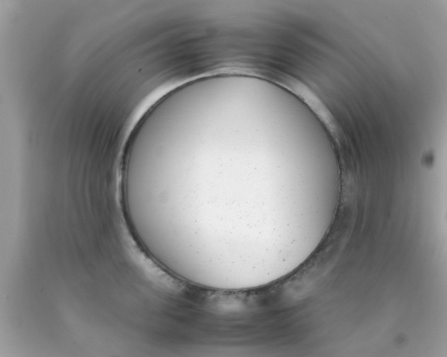 X0000090410955200707272046