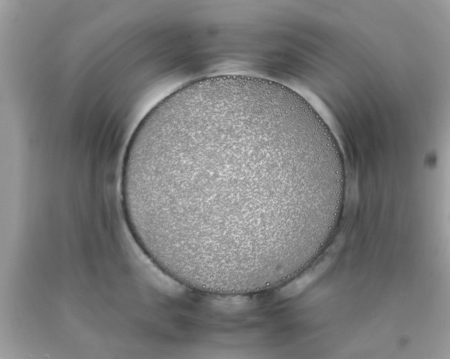 X0000090410957200707272046