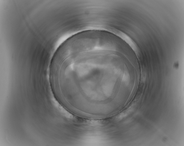 X0000090410958200707272046