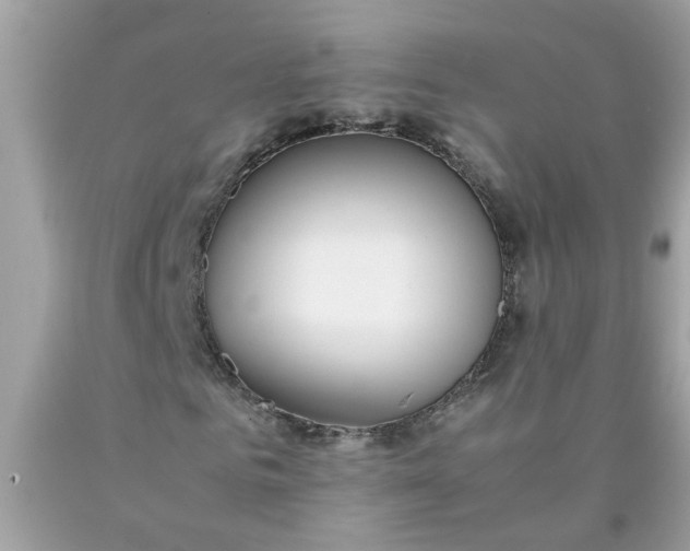 X0000090410961200707272046