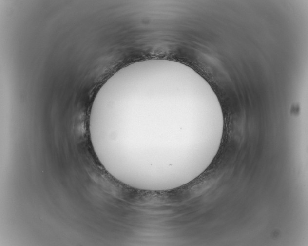 X0000090410962200707272046