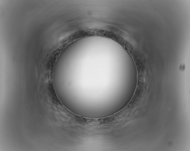 X0000090410965200707272045