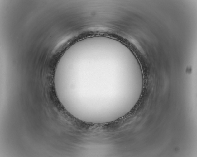 X0000090410967200707272045