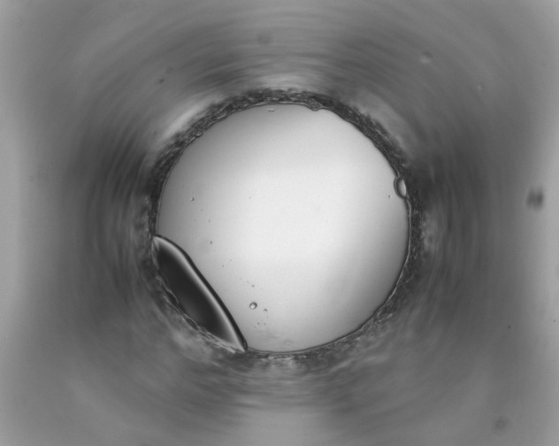 X0000090410968200707272045