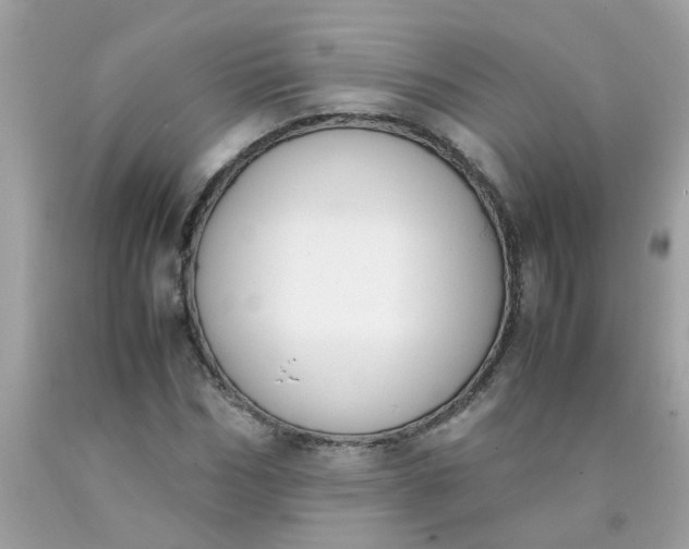 X0000090410970200707272045