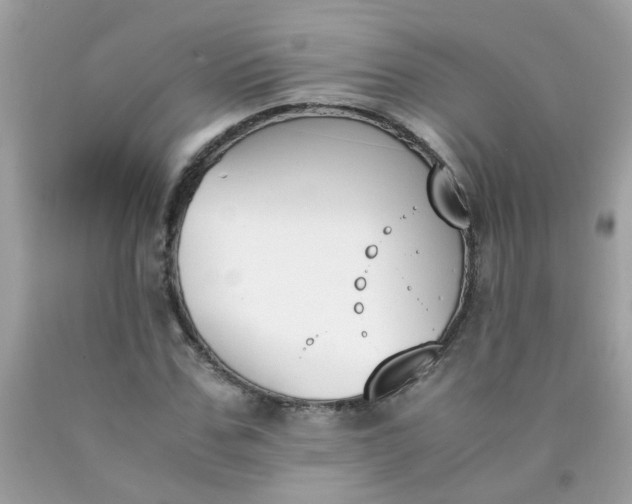 X0000090410971200707272045
