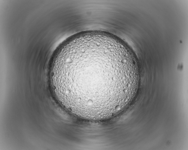 X0000090410975200707272045