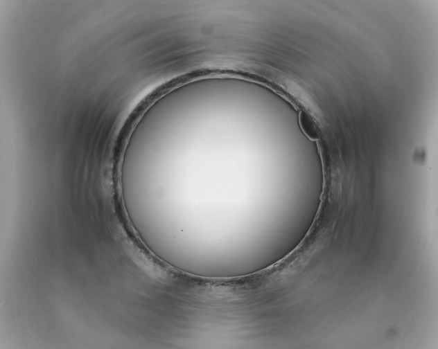 X0000090410976200707272045
