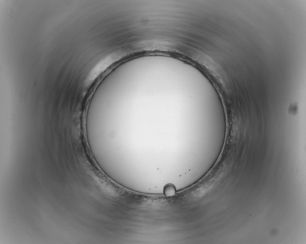 X0000090410978200707272045