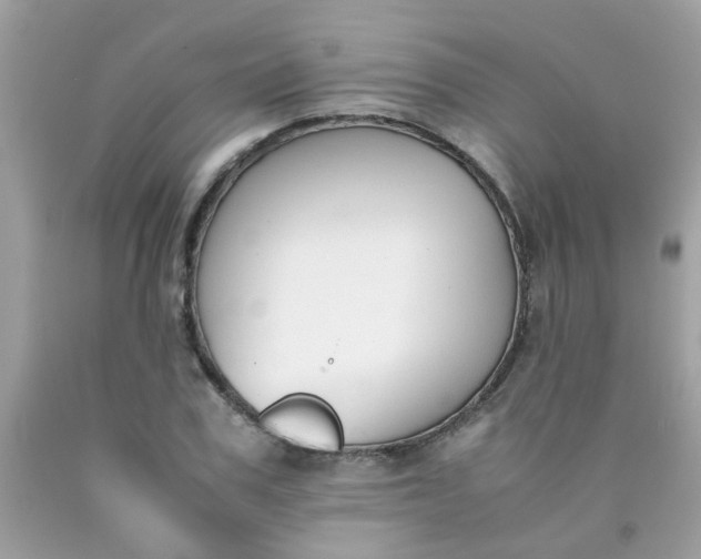 X0000090410979200707272045