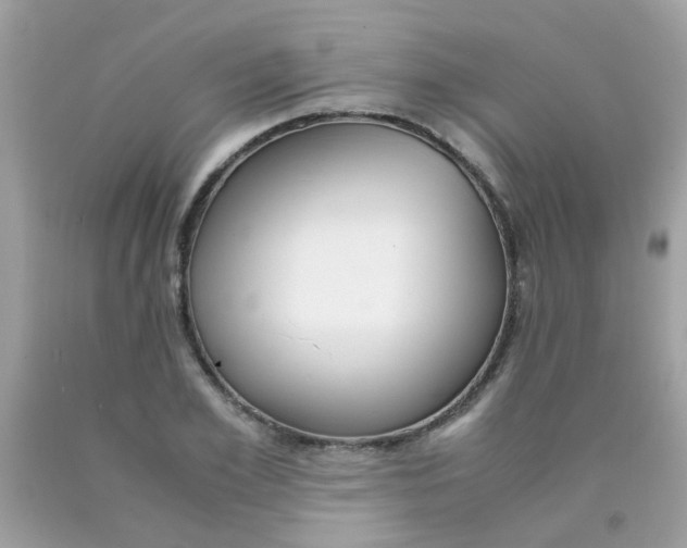X0000090410981200707272045