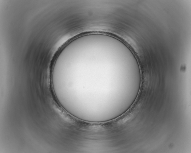 X0000090410982200707272045