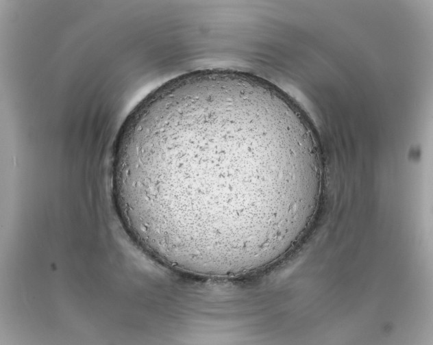 X0000090410983200707272045