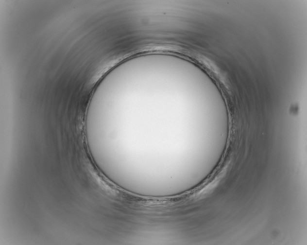 X0000090410985200707272045