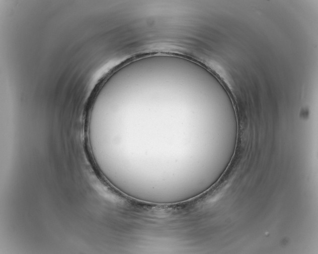 X0000090410987200707272045