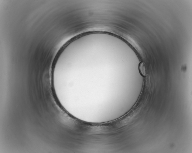 X0000090410988200707272045