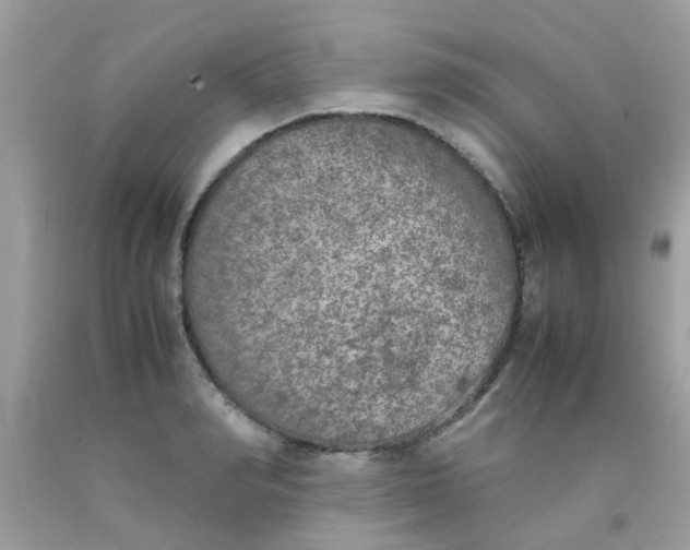 X0000090410990200707272045