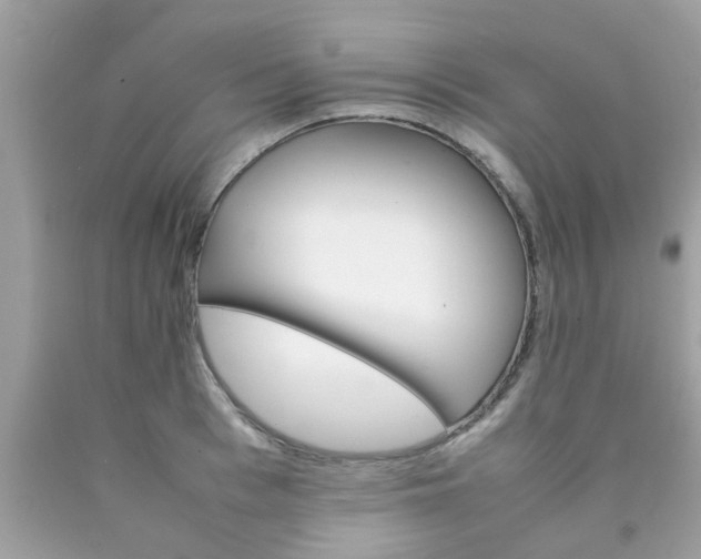 X0000090410993200707272045