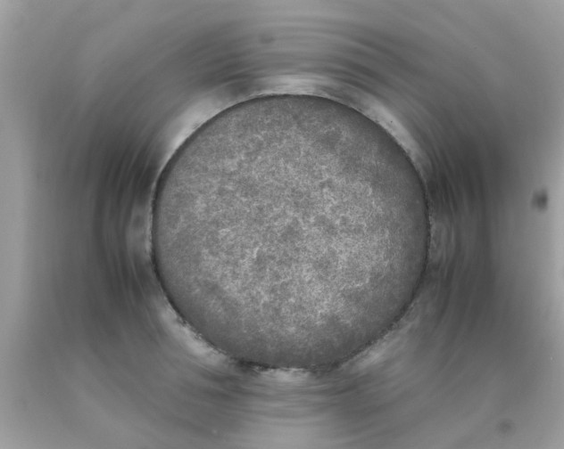 X0000090410994200707272045