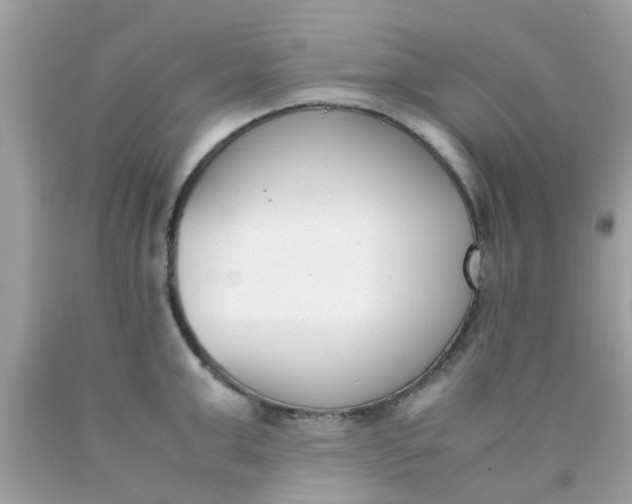 X0000090410999200707272045