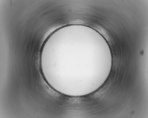 X0000090411000200707272045