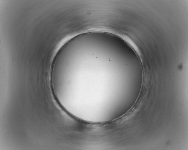 X0000090411005200707272045