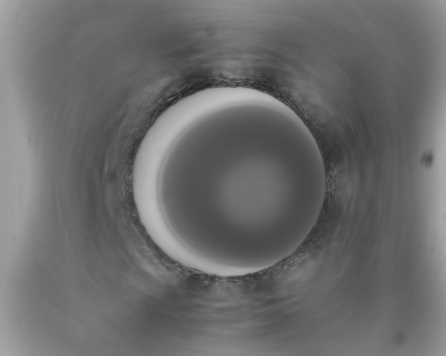 X0000090411009200707272044