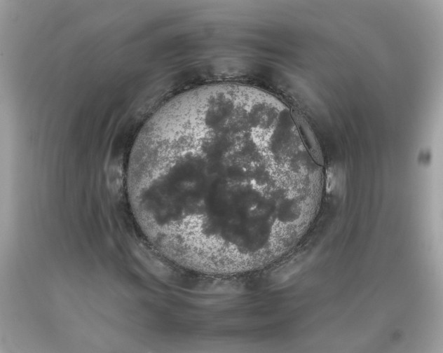 X0000090411011200707272044