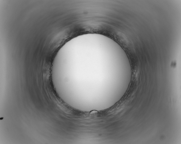 X0000090411012200707272044