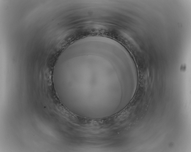 X0000090411013200707272044